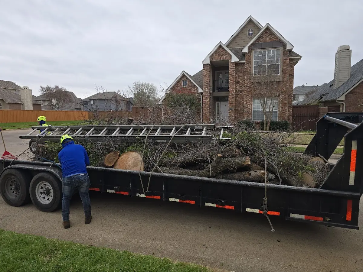 Expert Tree Removal with proper safety equipment in Shobonier